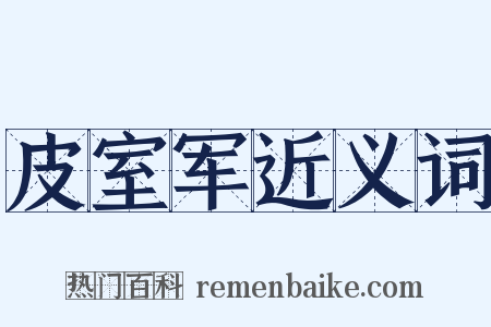 皮室军近义词是什么意思的图片